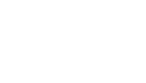 logo CEMIN